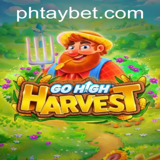 GoHighHarvest: A New Gaming Sensation Introducing the Unique Phtay Strategy